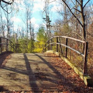 footbridge-autumn-fall-bridge-163827
